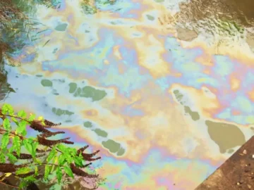Rivière du Calvados polluée après un déversement d’hydrocarbures à Cahagnes.