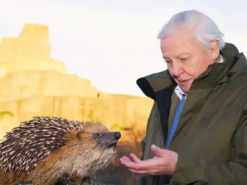 david attenborough