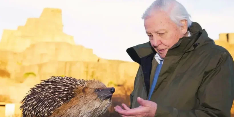 david attenborough