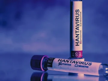 MV Hondius après une alerte au hantavirus dans le Pacifique.