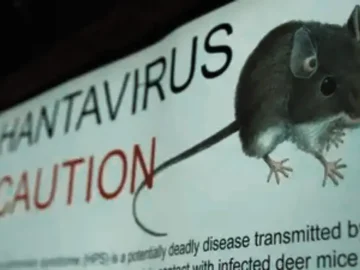 hantavirus map