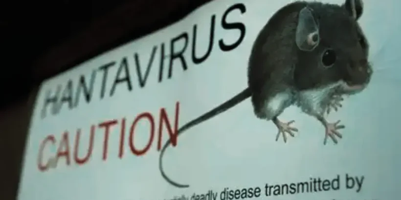 hantavirus map