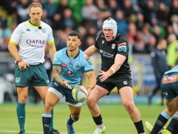 Leinster Rugby face aux Stormers en demi-finale.